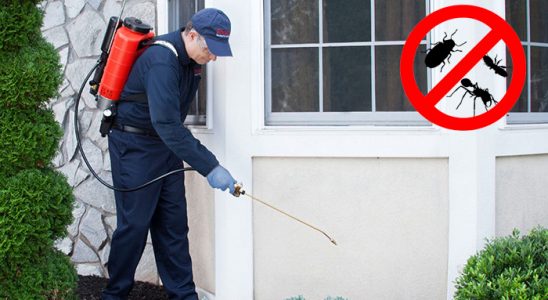 Çiçekdağı Tahtakurusu İlaçlama böcek ilaçlama ve haşere kontrolü — ilaclama-tr.com